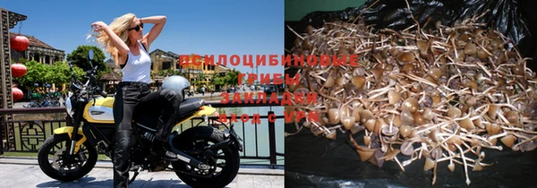 скорость Алексин