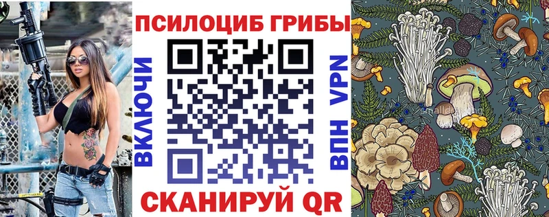 Псилоцибиновые грибы Magic Shrooms Кудрово