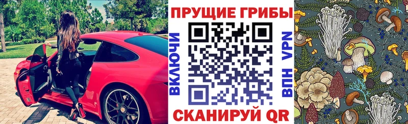 omg ССЫЛКА shop наркотические препараты Псилоцибиновые грибы MAGIC MUSHROOMS Кудрово